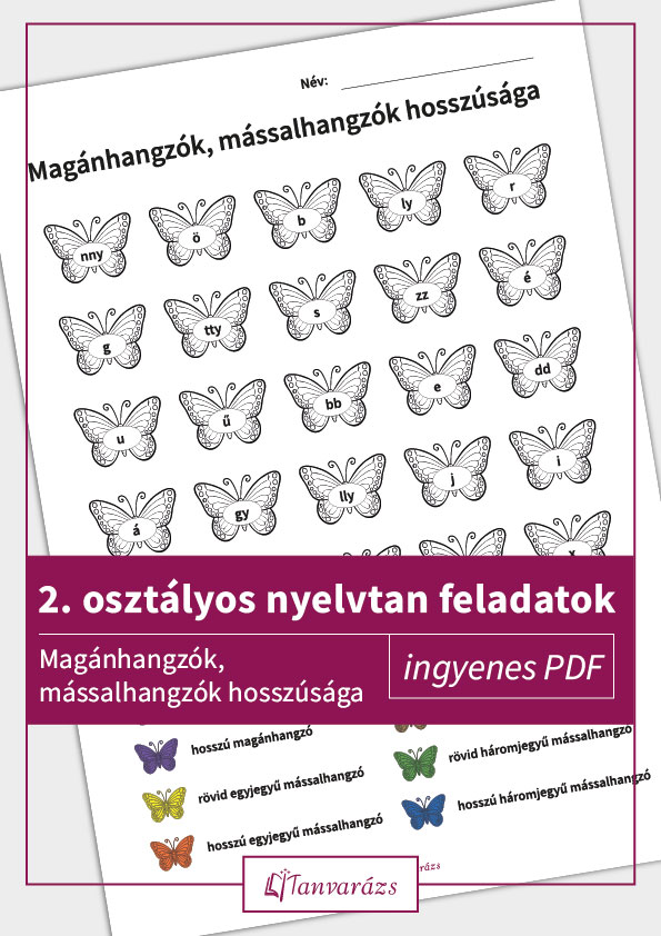 Színezős feladatlap pillangókkal. Minden pillangón egy betű látható, alul a feladat leírása található, amely a 2. osztályos nyelvtan feladatok részét képezi, segítve a magán- és mássalhangzók hosszúságának és jegyeinek gyakorlását.